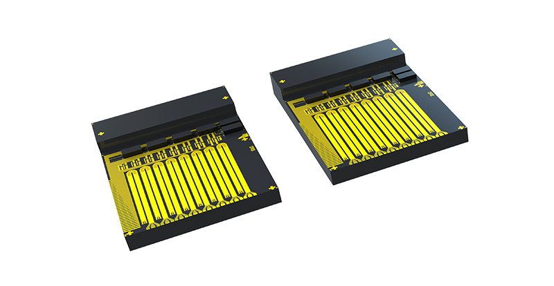 TFLN 800 Gb/s PAM-4 – O Band Chip